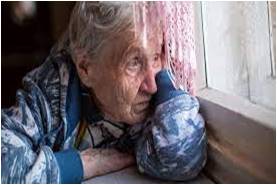 Seniors are often left behind